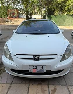 بیجۆ 307